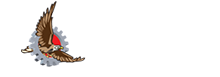 footer logo